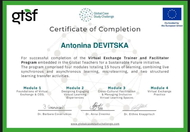 Virtual Exchange Trainer and Facilitator Program