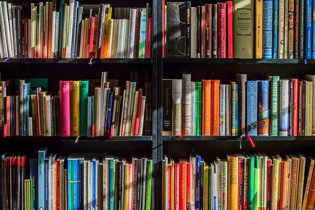Development of Professional Reflection Skills in English Classroom Observation